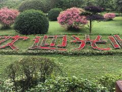 -天赐温泉