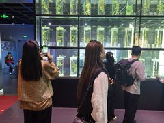 -广东中医药博物馆