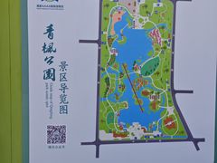 -青枫公园