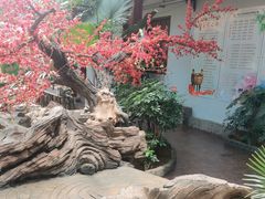 -老山东·山东菜(鲁菜名店)