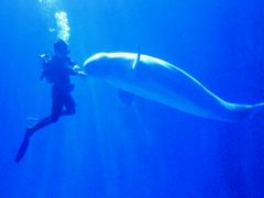 -多彩贵州城极地海洋世界