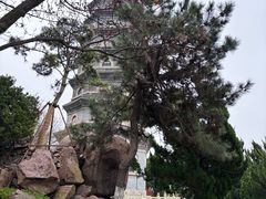 -湛山寺