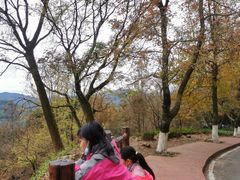 -广州市石门国家森林公园