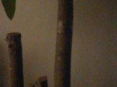 -雍江食府(企业天地店)