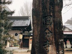 -医王山·飞騨国分寺