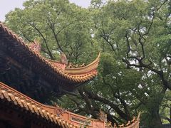 -普陀山风景名胜区-法雨禅寺