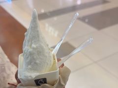 -野人先生Gelato(上海长宁龙之梦店)