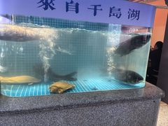-鸽子侯·家宴·平价海鲜(市图书馆店)