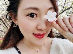 -高东镇樱花园
