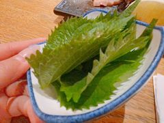 -渔井食堂(新洲店)