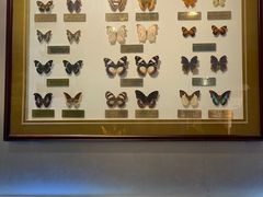-上海昆虫博物馆