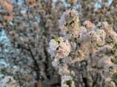 -天津东丽湖风景区