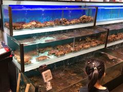 -盒马X会员店(王府井奥莱UP TOWN店)