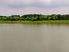 -海珠湖公园
