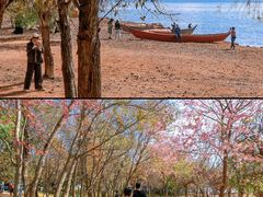 -抚仙湖禄充风景区