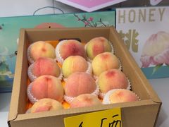 -老袁家蜜桃农场·阳山水蜜桃