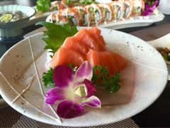莎海酒店星空旋转中餐厅-莎海国际酒店-莎海餐厅