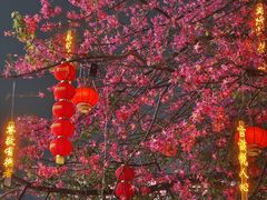 -大佛古寺