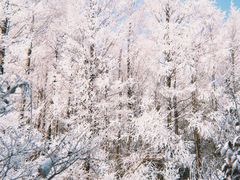 -东白山
