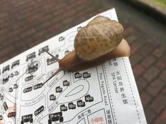 -太阳岛度假酒店