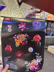 -乐高品牌旗舰店(人民广场店)