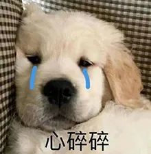 -白鹅咖啡(金城花园店)