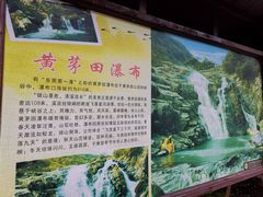-清溪森林公园