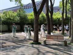 -上海醉白池公园