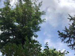 -张掖大佛寺景区