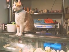 -小时光咖啡馆(北锣鼓巷店)