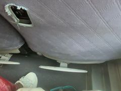 -野象谷景区