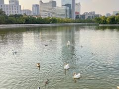 -迎泽公园