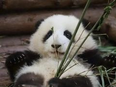 -喜来苑