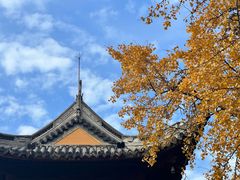 -龙华寺