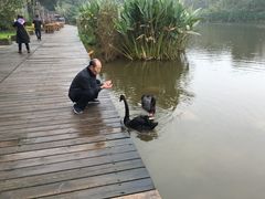 -成都大熊猫繁育研究基地