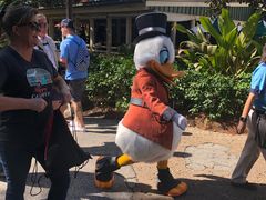 -奥兰多迪士尼动物王国乐园