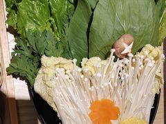 -椰子营·椰子鸡火锅(万象里店)
