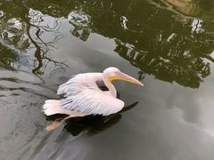 -昆明动物园