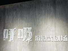 -呼吸沉浸式剧场(甘露园店)