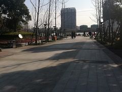 -南翔镇银翔湖公园