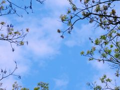 -白塘生态植物园