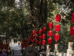 -成都老君山
