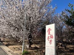 -鹫峰国家森林公园