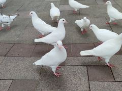 -国色天乡三期陆地乐园