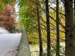 -上海海湾国家森林公园