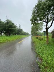 -水八仙生态园