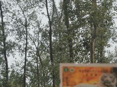 -秦皇岛野生动物园