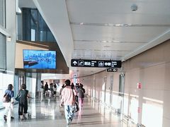 -青岛胶东国际机场