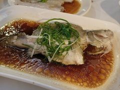 -云中小雅