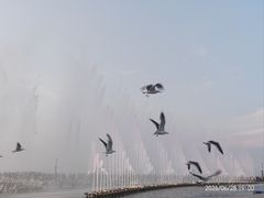 -东港音乐喷泉广场